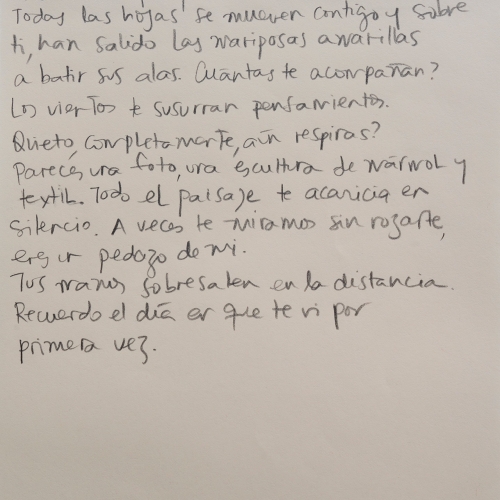 Texto de Natalia Behaine (24.5 x 16.5 cm) viendo a Jérôme Birolini.
