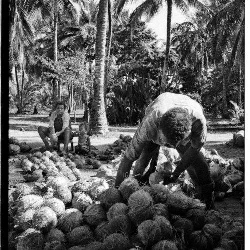 "San Bernardo del Viento # 15" de la serie "San Bernardo del Viento" / Técnica: fotografía análoga. Película: Kodak Tmax 3200 / Dimensiones de la obra: cm.
