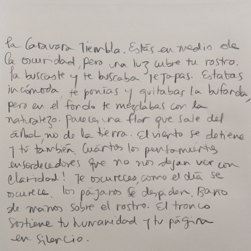 Texto de Natalia Behaine (24.5 x 16.5 cm) viendo a Catherine Henensal.
