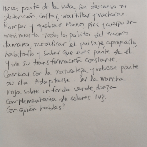 Texto de Natalia Behaine (24.5 x 16.5 cm) viendo a Jean Birolini.
