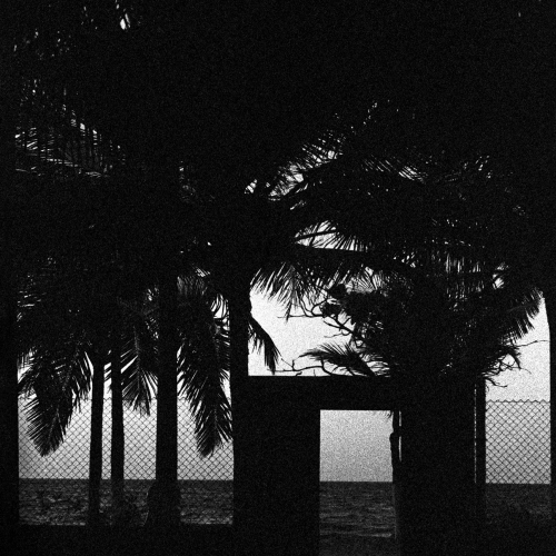 "San Bernardo del Viento # 22" de la serie "San Bernardo del Viento" / Técnica: fotografía análoga. Película: Kodak Tmax 3200 / Dimensiones de la obra: cm.
