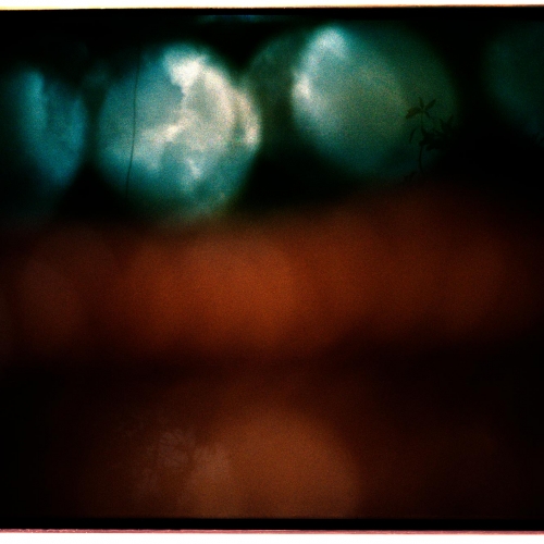 "San Bernardo del Viento # 49" de la serie "San Bernardo del Viento" / Técnica: fotografía análoga. Película: Kodak ColorPlus 200 / Dimensiones de la obra: cm.
