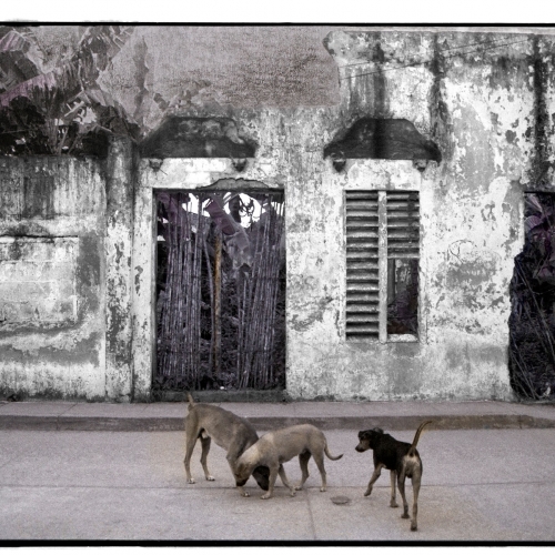 "The wall of San Bernardo del Viento # 2" / Technique: analog photography. Film: Ilford Pan 100 / Dimensions of the work: 20 x 30 cm.