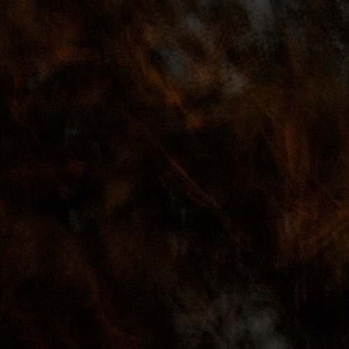 "El bosque en llamas # 7" de la serie "El bosque en llamas" / Técnica: fotografía y composición digital / Dimensiones de la obra: cm.