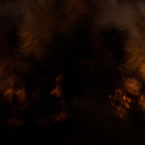 "El bosque en llamas # 8" de la serie "El bosque en llamas" / Técnica: fotografía y composición digital / Dimensiones de la obra: cm.