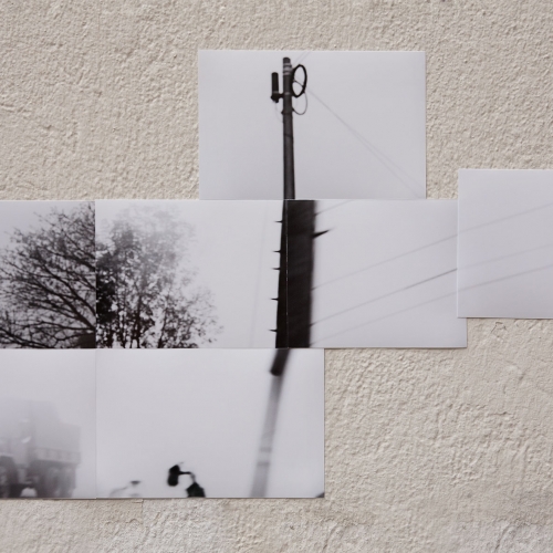 "José # 19" de la serie "José" / Técnica: fotografía digital y collage / Dimensiones de la obra: cm. / El fondo no hace parte de la obra.