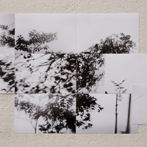 "José # 22" de la serie "José" / Técnica: fotografía digital y collage / Dimensiones de la obra: cm. / El fondo no hace parte de la obra.