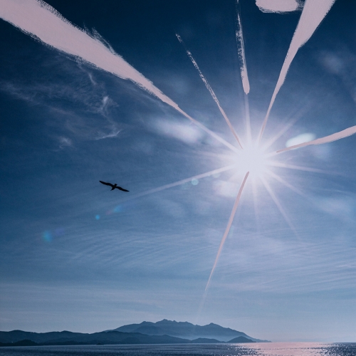 “Volver de un salto” # 5 / Técnica: Fotografía digital, acrílico / Dimensiones: 90 X 50 cms. sobre foamboard con bordes pintados a mano. 